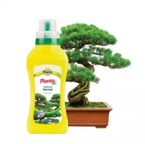 Nawóz płynny do bonsai - Planta