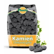 Kamień dekoracyjny Nero Ebano - Planta