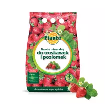 Nawóz mineralny pod truskawki i poziomki - Planta
