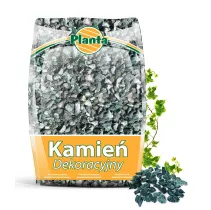 Kamień dekoracyjny Verde Alpi - Planta