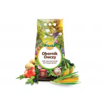 Obornik owczy - Planta