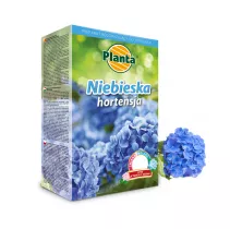 Niebieska hortensja - Planta