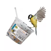 Dzwonek tłuszczowy - Planta