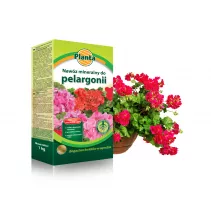 Nawóz mineralny do pelargonii - Planta
