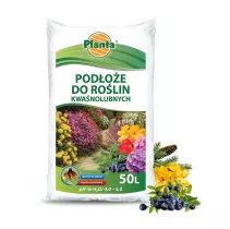 Podłoże do roślin kwaśnolubnych - Planta