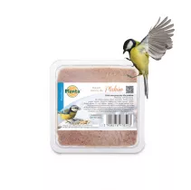 Blok energetyczny dla dzikich ptaków - Planta