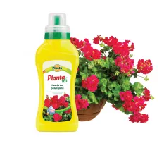 Nawóz płynny do pelargonii - Planta