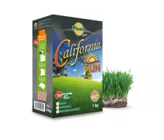 Trawa California SUN - Planta