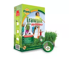 Trawa Trawnik samo gęstniejący - Planta