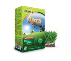Trawa Oaza - Planta