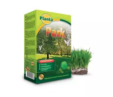 Trawa Park - Planta