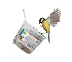 Dzwonek tłuszczowy - Planta