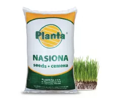 Mieszanka traw Autostradowa - Planta