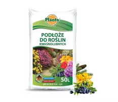 Podłoże do roślin kwaśnolubnych - Planta