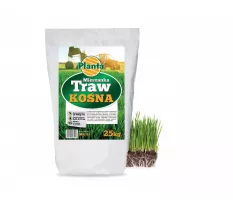 Mieszanka traw Kośna - Planta
