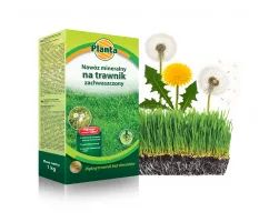 Nawóz mineralny na trawnik zachwaszczony - Planta