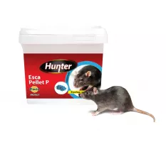 Hunter Esca Pellet P