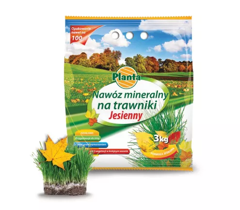 Nawóz mineralny na trawniki jesienny - Planta