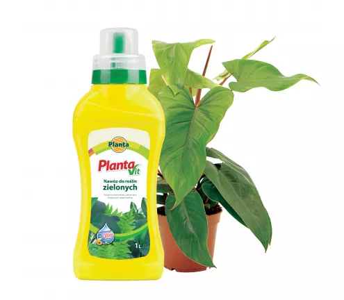 Nawóz płynny do roślin zielonych - Planta
