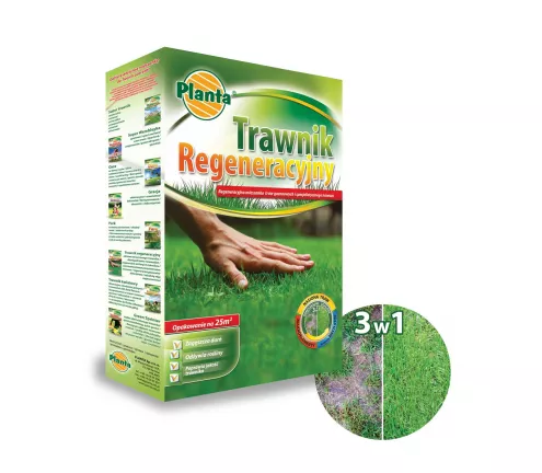Trawa Trawnik Regeneracyjny - Planta