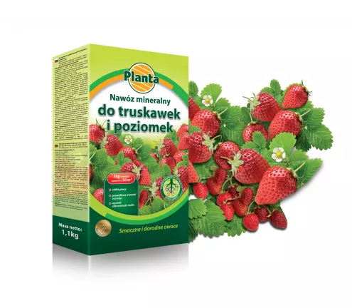 Nawóz mineralny do truskawek i poziomek - Planta