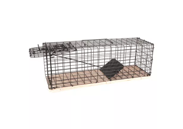 Żywołapka na gryzonie 41x14x13cm