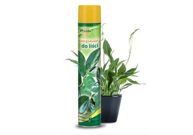 Nabłyszczacz do liści - Planta