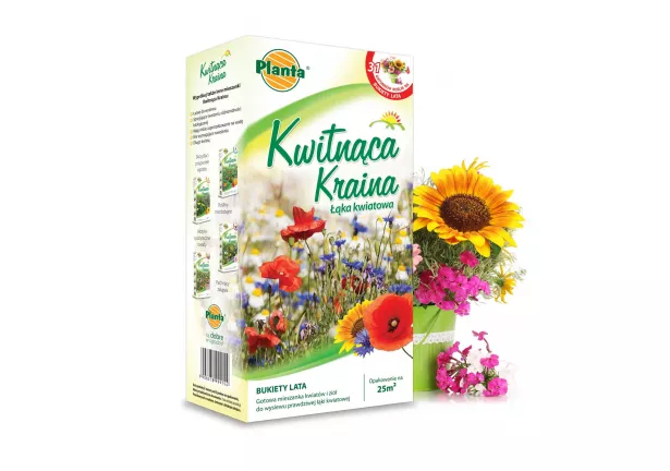 Kwitnąca Kraina - Bukiety lata - Planta