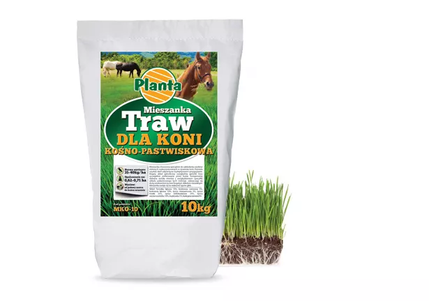 Mieszanka traw dla koni - Planta