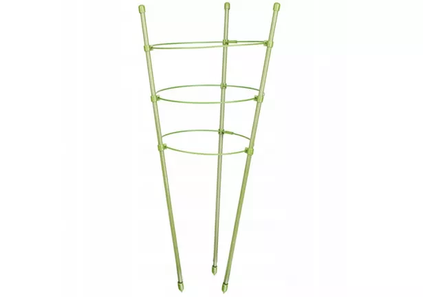 Podpora do roślin Plantina 60x22cm