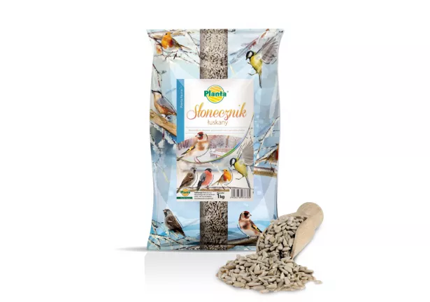 Słonecznik łuskany, ziarno - Planta