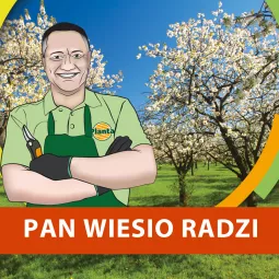 Jak ciąć jabłonie i grusze