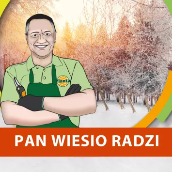 Zadbaj o trawnik pod śniegiem