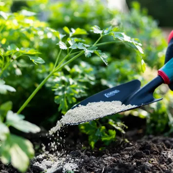 Wapnowanie w ogrodzie