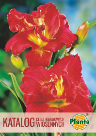 Katalog cebul kwiatowych wiosennych
