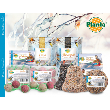 Dokarmiajmy ptaki zimą!