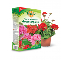 Nawóz mineralny do pelargonii - Planta