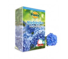 Niebieska hortensja - Planta