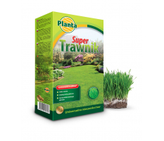 Trawa Super Trawnik - Planta
