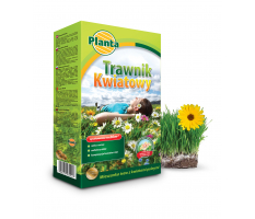 Trawa Trawnik Kwiatowy - Planta