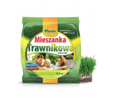 Trawa Mieszanka Trawnikowa - Planta